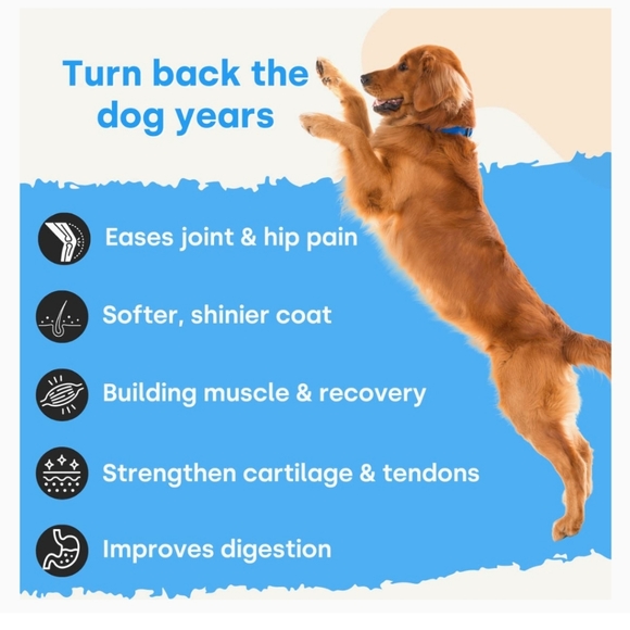 🐕Set of 2: Woof Dog Collagen & Bioline Dog Dental  Care Set - Picture 5 of 10